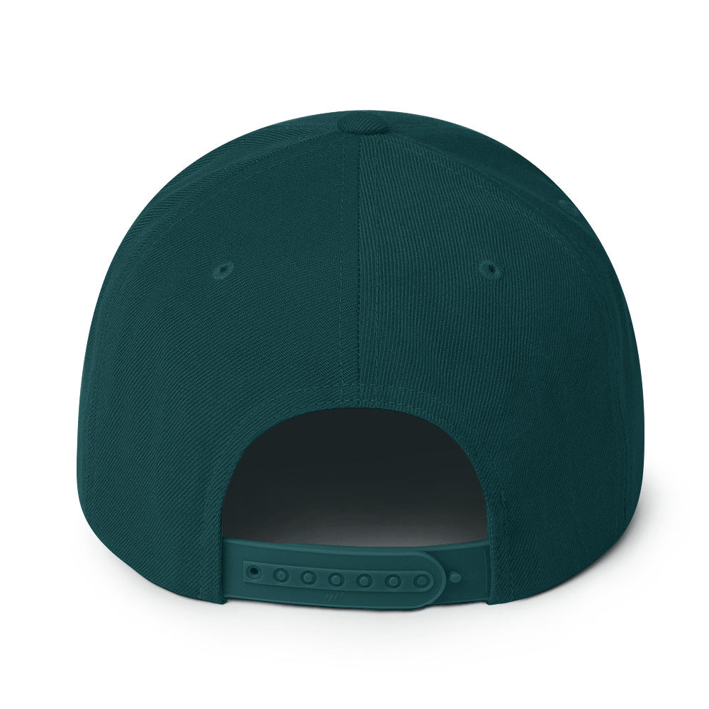 Empathy Snapback Hat hat