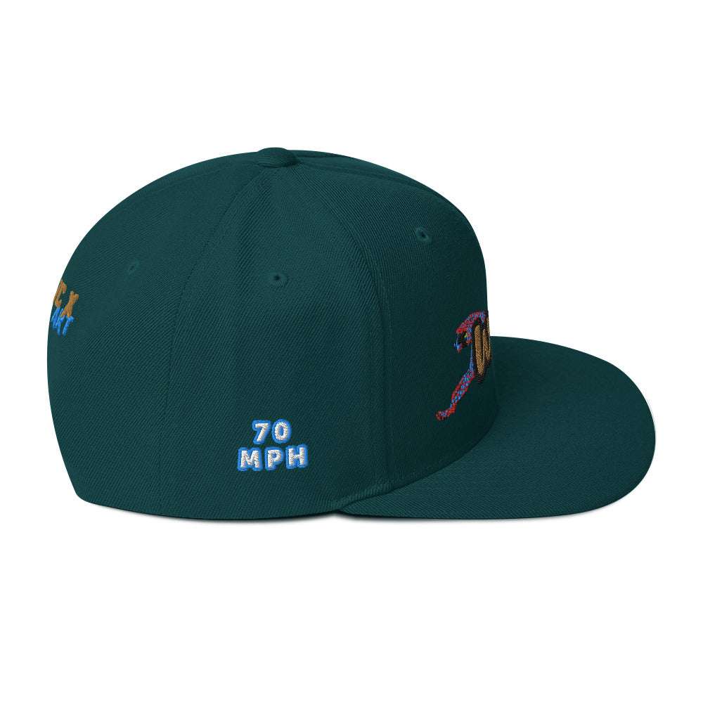 Wild Cat Offense Embroidered Snapback Hat