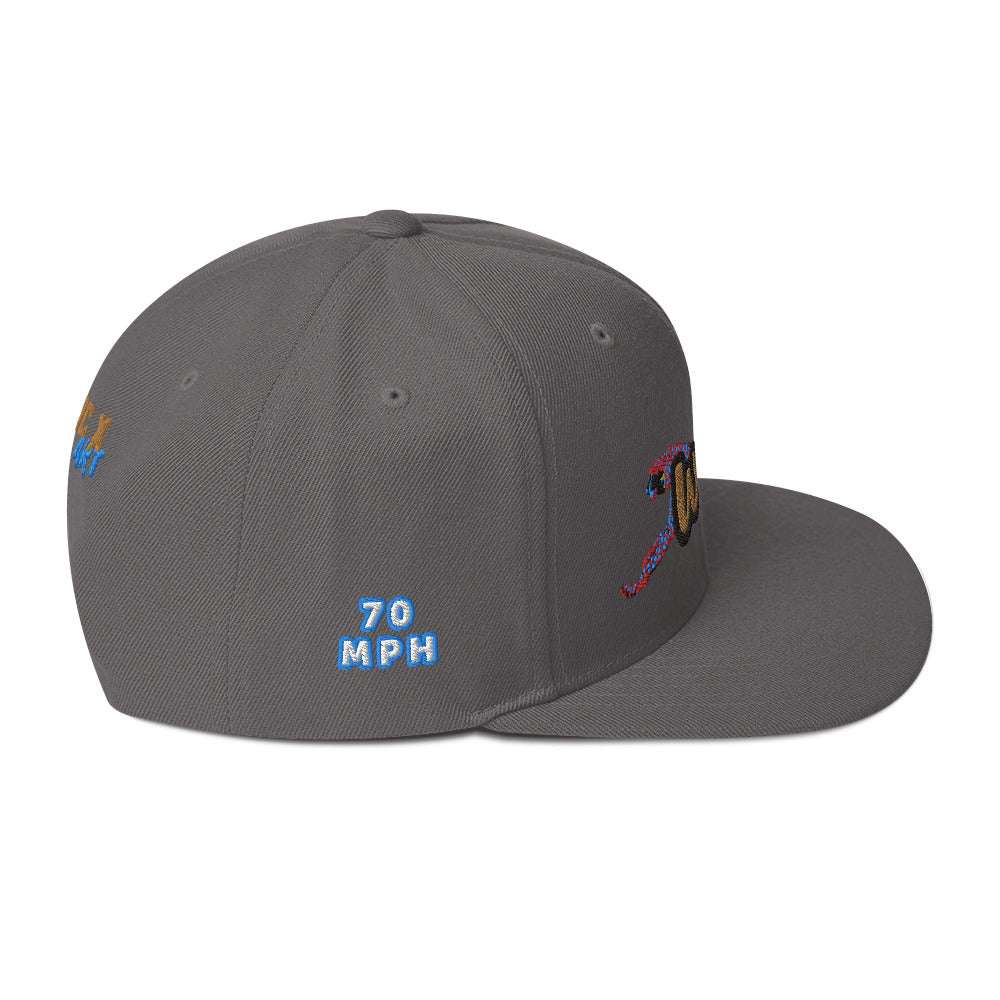 Wild Cat Offense Embroidered Snapback Hat