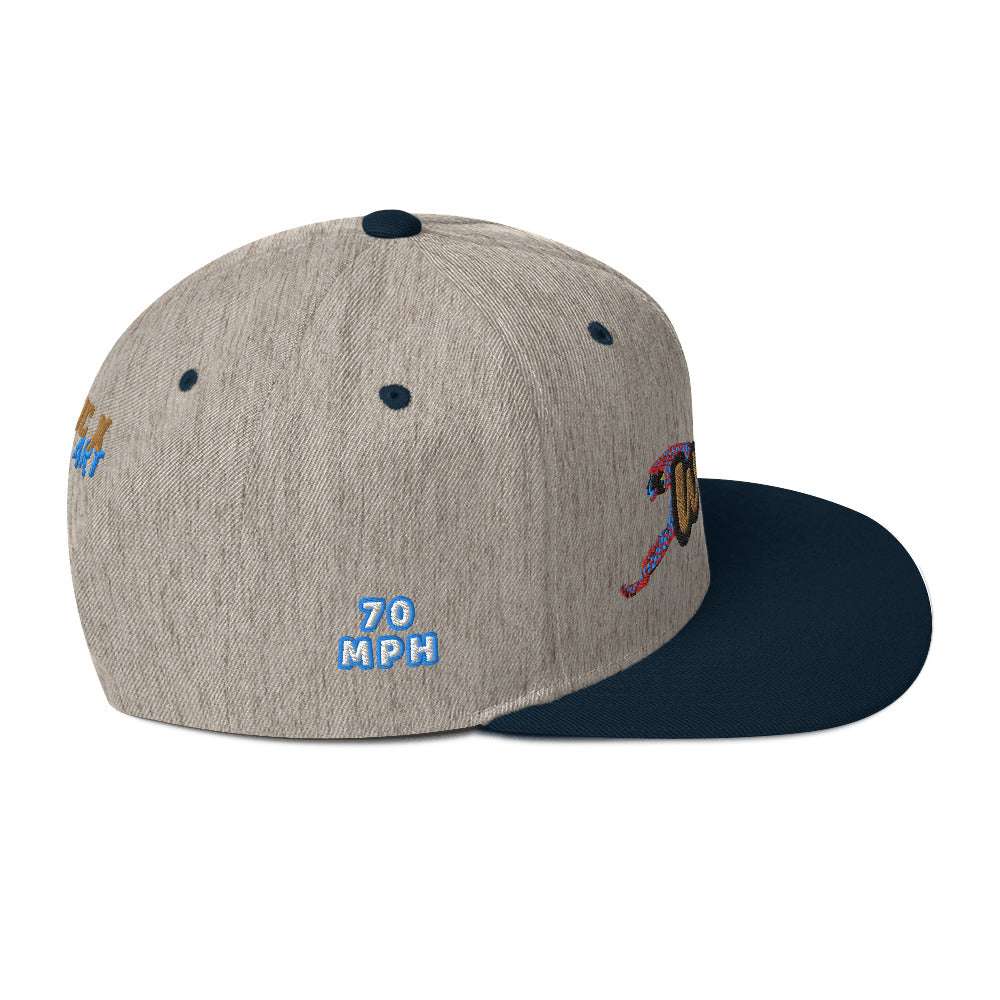 Wild Cat Offense Embroidered Snapback Hat