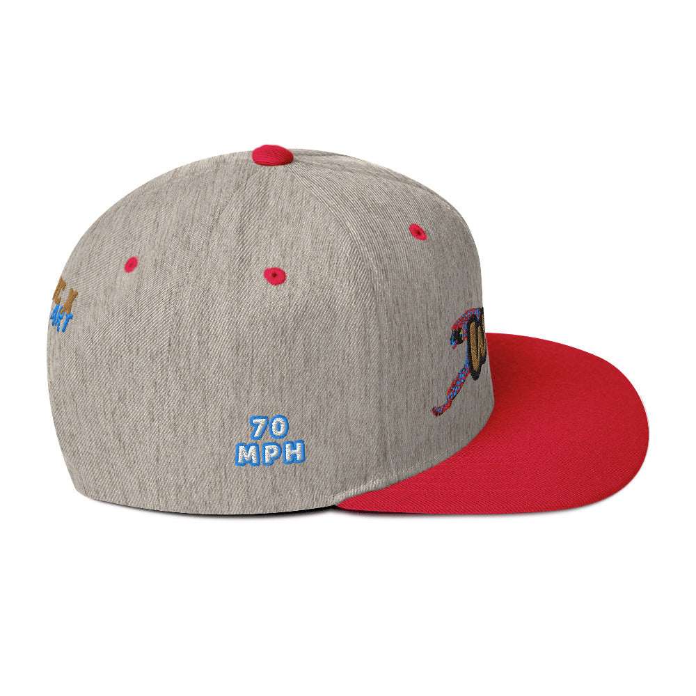 Wild Cat Offense Embroidered Snapback Hat